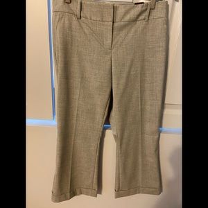Limited Cassidy Fit Grey Cropped Pants